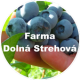 logo Farma Dolná Strehová - Arny Blueberry Farm s.r.o.