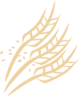 logo Poľnohospodárske družstvo JABLONEC