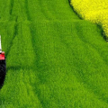 Poľnohospodárstvo Zlaté Moravce / AGROKLAS