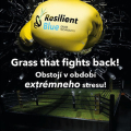 Nová technológia Resilient Blue Grass