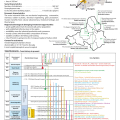 Trenčianska regionálna komora SOPK