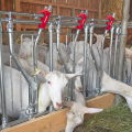 Schauer - Samofxačné zábrany pre kozy a ovce