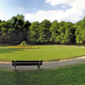 Park v Lučenci