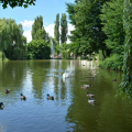 Mestský park