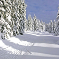 Zima v Kremnických vrchoch má neopísateľnú atmosféru