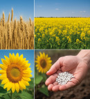 Agrokomodity