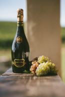Sekt Palffy